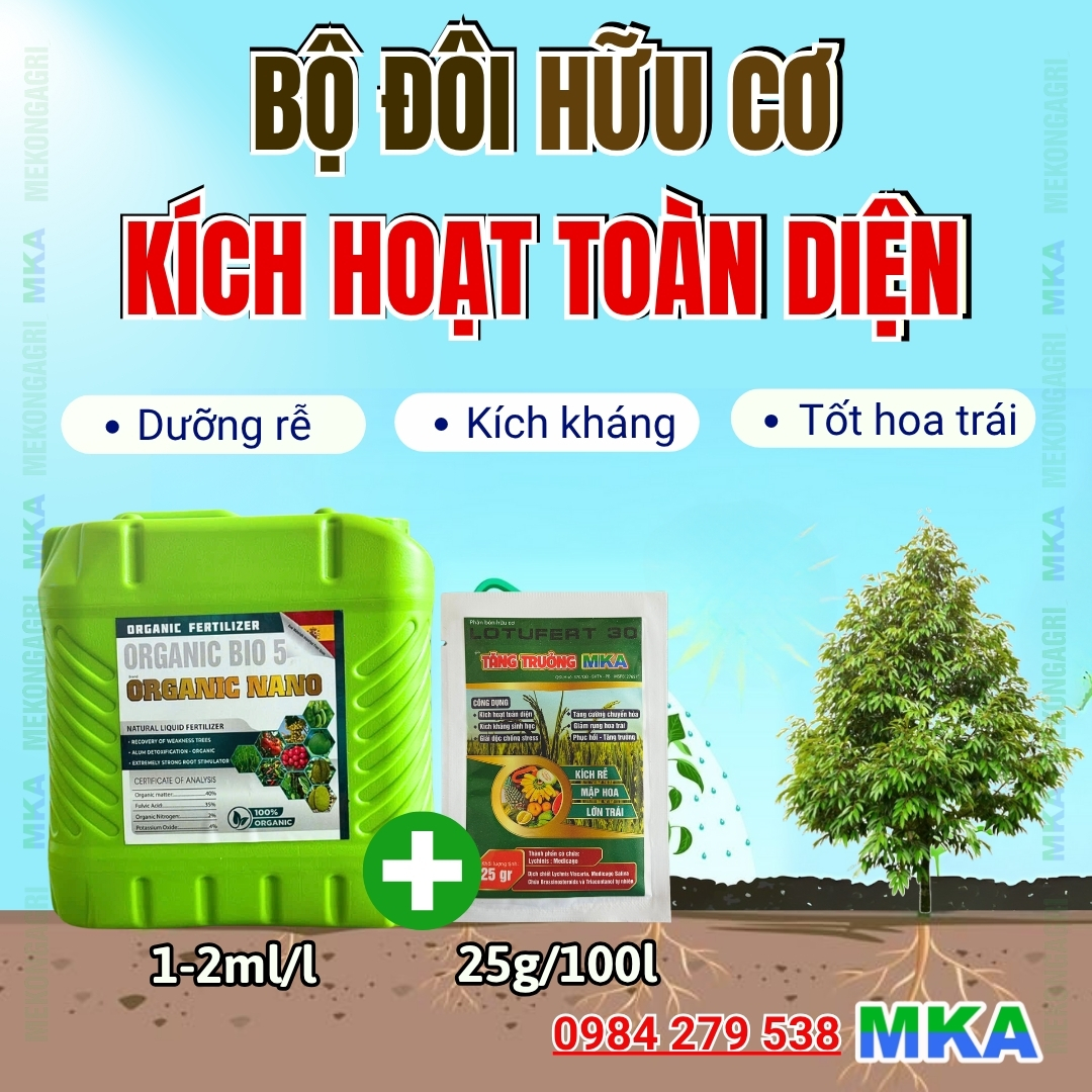Tăng trưởng MKA